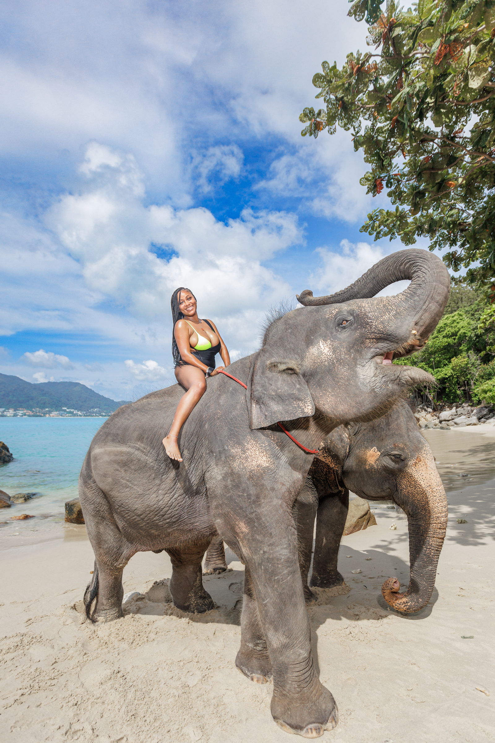 Take photos with elephants in Phuket